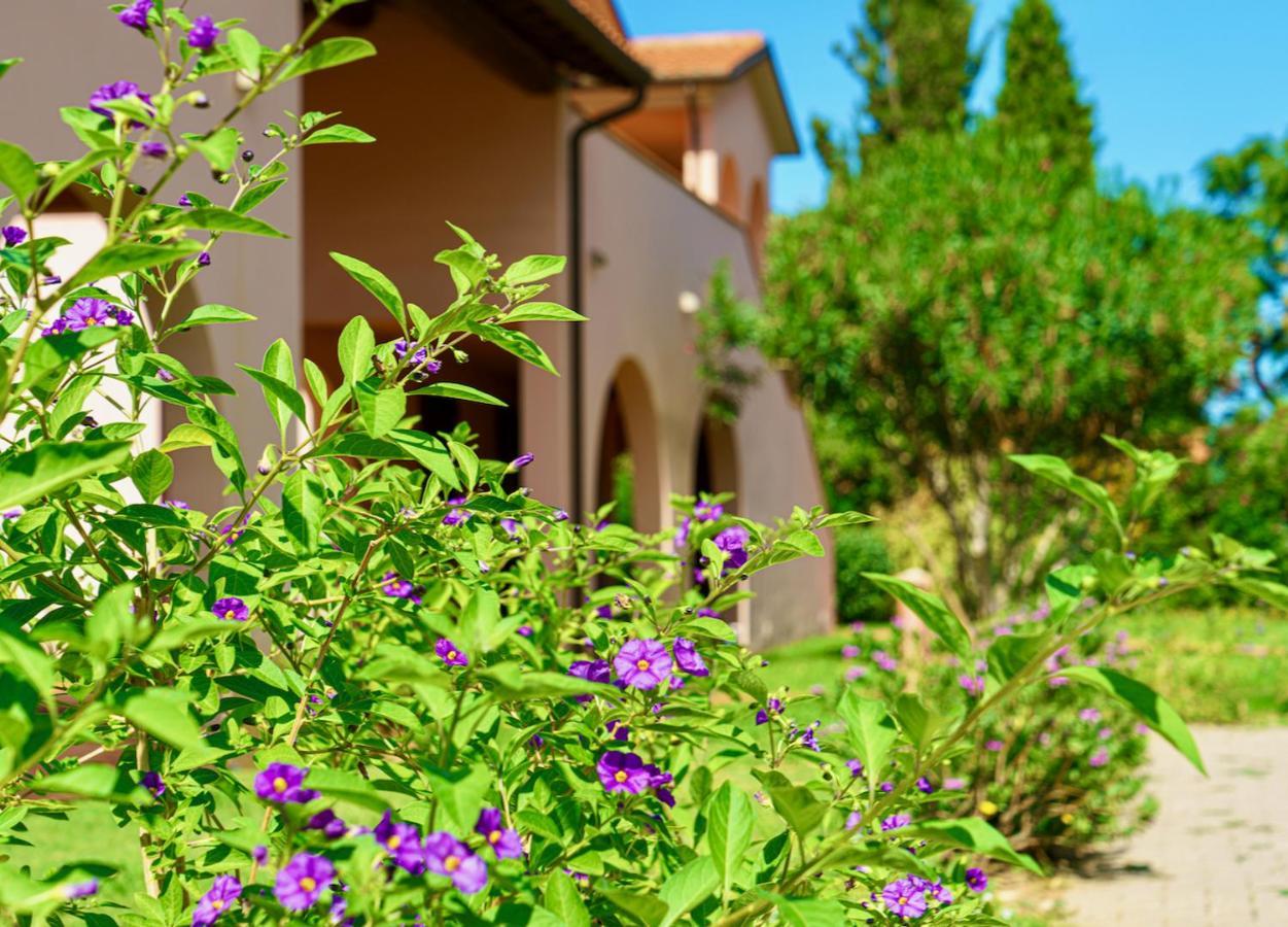 Appartamenti In Residence Villa Santa Maria Сан Винченцо Екстериор снимка